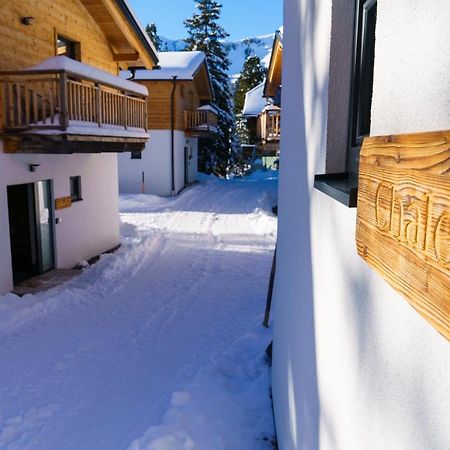 Luxalps- Turrach Alm Chalets Nr 1-4 Gruensee- Sauna- Skifahren- Wandern- Natur Turracher Hohe 외부 사진