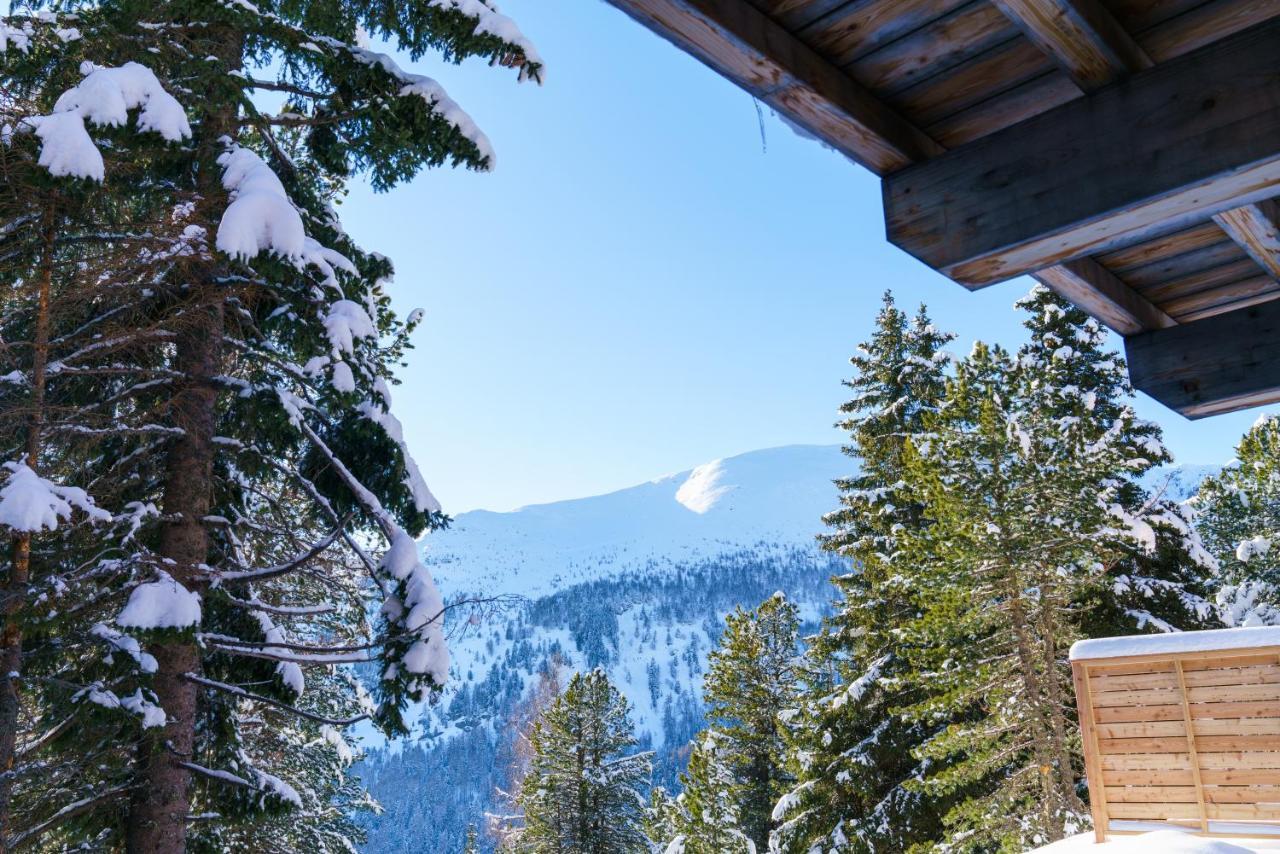 Luxalps- Turrach Alm Chalets Nr 1-4 Gruensee- Sauna- Skifahren- Wandern- Natur Turracher Hohe 외부 사진