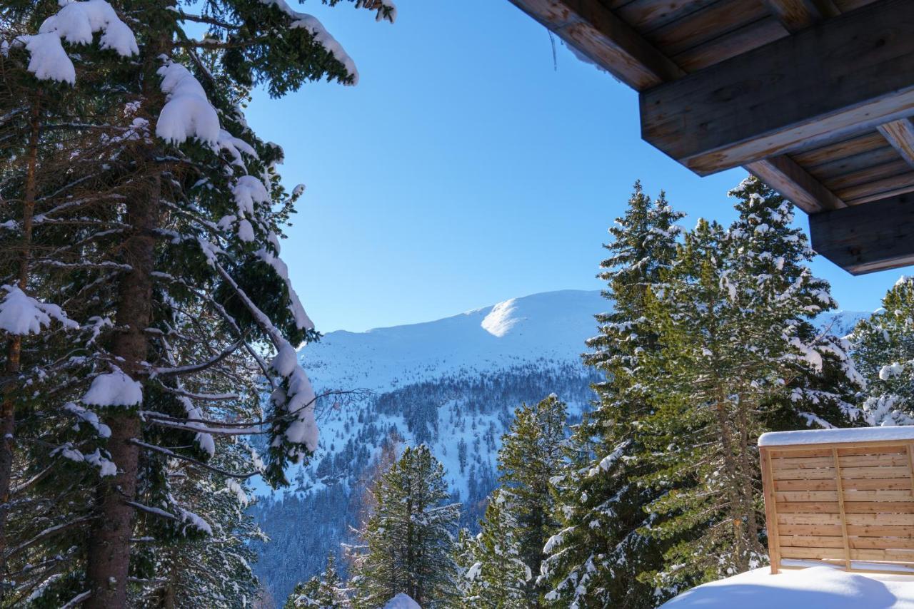Luxalps- Turrach Alm Chalets Nr 1-4 Gruensee- Sauna- Skifahren- Wandern- Natur Turracher Hohe 외부 사진