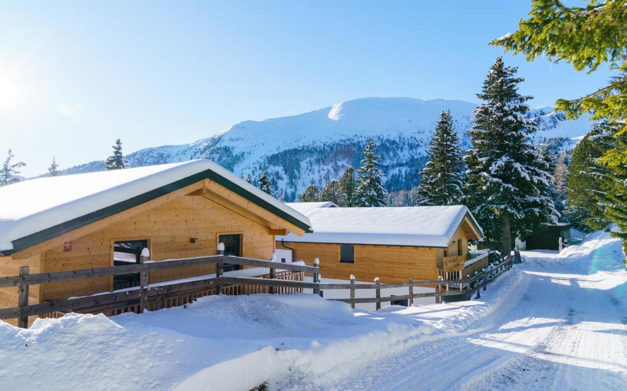 Luxalps- Turrach Alm Chalets Nr 1-4 Gruensee- Sauna- Skifahren- Wandern- Natur Turracher Hohe 외부 사진